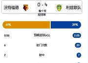开云体育网页版-利兹联国内杯赛出局，全力争保英超资格(静待新金主,远离英超许久的利兹联目标远大)