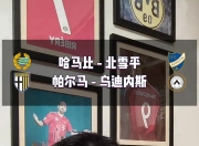 开云体育网页版-帕尔马击败乌迪内斯，豪取三分的简单介绍