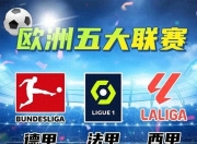 开云体育入口-欧洲俱乐部联赛惊险比分揭晓
