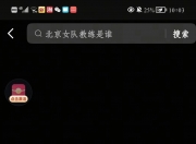 开云体育官网-北京队员表现抢眼，携手晋级下一轮的简单介绍