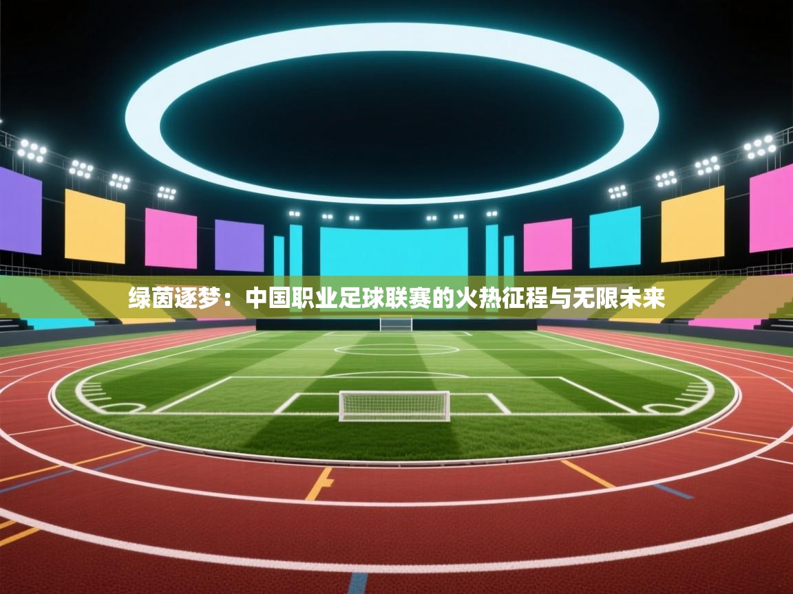绿茵逐梦：中国职业足球联赛的火热征程与无限未来  第1张