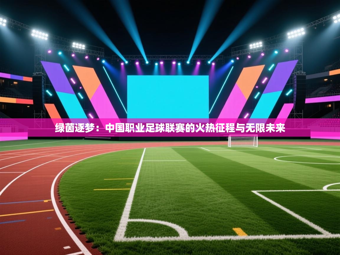 绿茵逐梦：中国职业足球联赛的火热征程与无限未来  第2张