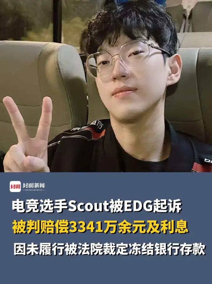 EDG申请执行冻结、划拨Scout在L银行3351516244存款和利息以及延迟履行期间的加倍债务利息的简单介绍